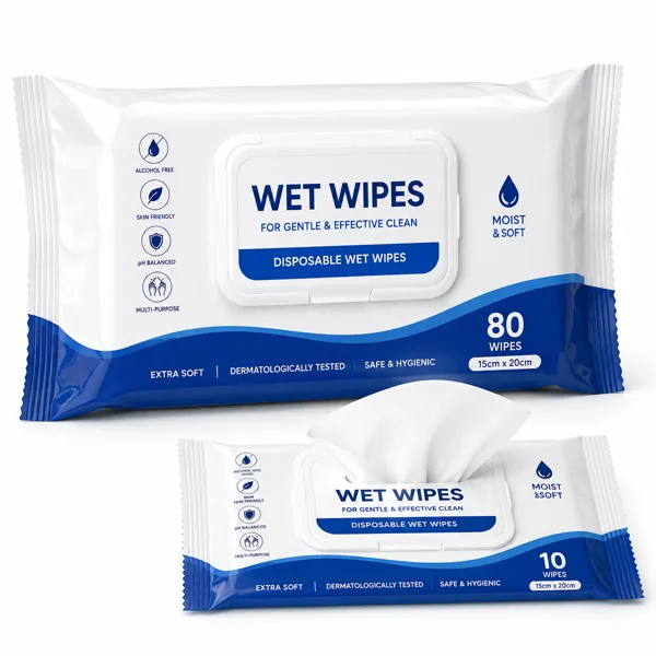 Wet Wipes Disposable Wet Wipes for Salons and Spas - Image 1
